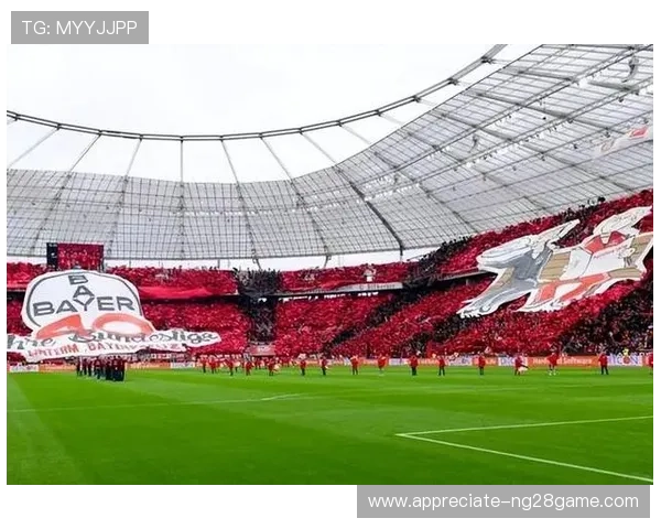 拜耳勒沃库森足球俱乐部的辉煌历程与未来发展展望 拜耳勒沃库森足球俱乐部的辉煌历程与未来发展展望