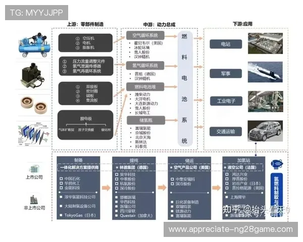 重庆超级联赛全景解析与赛事亮点深度介绍